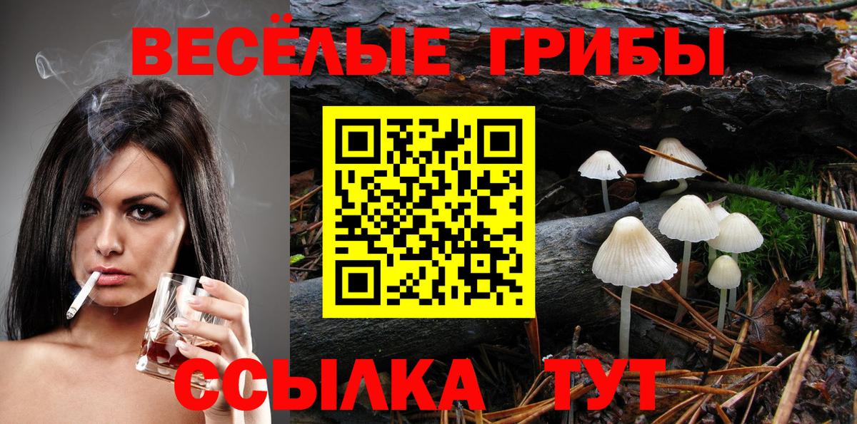 Псилоцибиновые грибы Psilocybe  Вход с VPN  Кимовск 