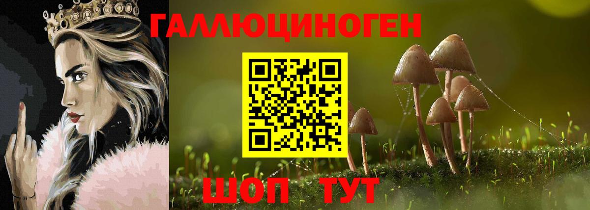 Галлюциногенные грибы MAGIC MUSHROOMS Кимовск