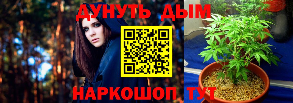 Бошки марихуана White Widow  Конопля конопля  Вход с VPN  Кимовск  МАРИХУАНА LSD WEED  МАРИХУАНА тримм 